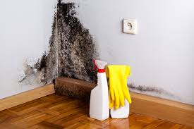 Best Real Estate Mold Inspection  in Standish, MI